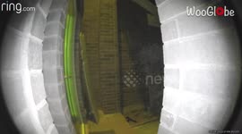 ''I didn't see that' Kid runs full-speed into a storm door 
'