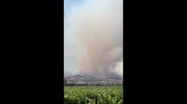 Vegetation fire erupts in wine country near Napa, California