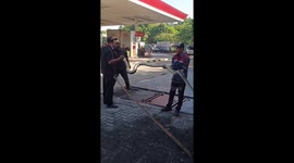 Residents evacuate huge python from canal in Jakarta