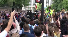 CHAOS as crowds of Trooping the Colour onlookers pile onto the streets