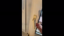 A fox named Naruta is very loudly happy to see her owner