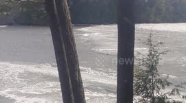 Ice flows from across the lake come into our bay at the cottage (part 2 of 2)!