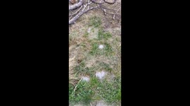 While landscaping a newly bought..120 yr old home I found a surprise under a couple inches of topsoil