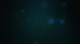 Squid eggs under attack by schooling bannerfish on coral reef in Cebu, Philippines