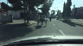 bugi sightings on the main street of the city of Payakumbuh...impressive