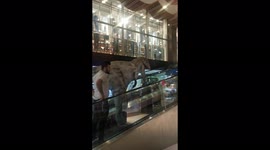 A Dinosaur getting an escalator on it's way to work in Baghdad's mall of Babylon