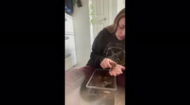Woman who overcame fear of spiders instantly regrets holding tarantula