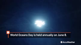 The purpose of World Oceans Day