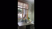 temp