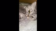 temp