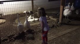 Girl honks with geese