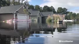 Spotting and escaping rip currents