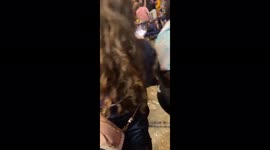 US: Heavy Rain Floods Concert Venue, Cancels Halsey Show In Maryland