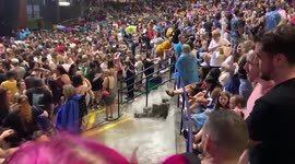 Halsey concert, venue slammed by flooding in Maryland, later canceled