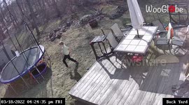 'Boy afraid of dogs gets an unexpected visit from his neighbor's dog *He SCREAMED!*
'