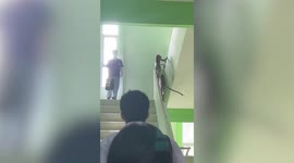 Two wild monkeys rampage through school in Thailand