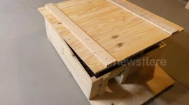 US man builds mini cinema for wild squirrels complete with a concession stand and a MOVIE SCREEN