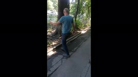 Drug walk or zombie apocalypse