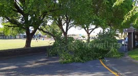 Large tree branch comes down during strong winds in Kent, UK