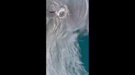 Some of many humpback whales checking out our Antarctica cruise ship, possibly the first ship it has seen due to the pandemic.