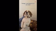 temp