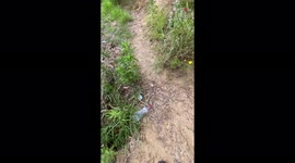 'Survival Tip: How to Purify Dirty Water'