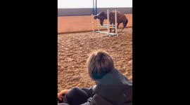 Funny fail girl during horseback riding training