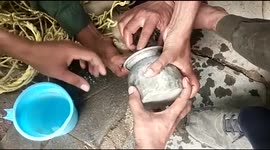 Watch - In an attempt to during water from a small size jug baby baboon stuck its mouth under it