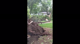 Severe storm leaves trail of destruction in Dane County in Wisconsin