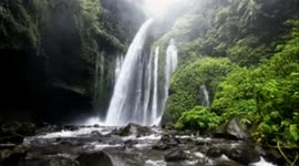 Green scenery with natural effect and gives pleasure mind by breathtaking nature  Lombok’s Wonderfull Refreshing Waterfalls