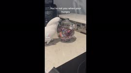 You’re  not you when your hungry  Ruby helped herself to a snickers bar