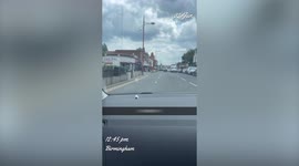 Runaway ALPACA causes traffic chaos along busy street in Birmingham, UK