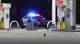 Stabbing at Shell Gas Station on Gears Road in North Houston