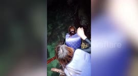 Extremely venomous banded sea krait appears inches from swimming tourists