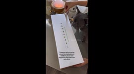 French Bulldog and his mom unboxing their first ever indoor smart garden