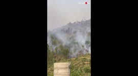 'Pakistani villager shares distressing footage of a forest on fire '