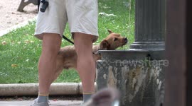 Spain swelters in extreme heat in ‘earliest heatwave in 40 years’ with temperatures approaching 50c
