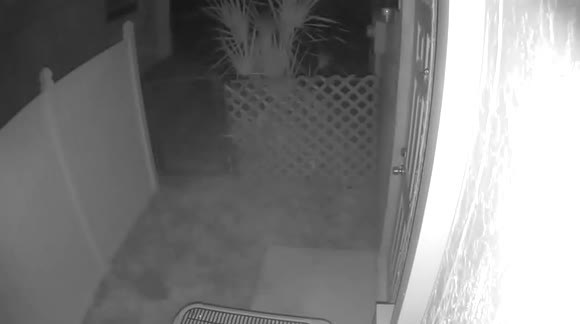 Now I have monsters crawling over the place