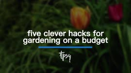 How To Keep Up With Your Garden Without Breaking the Bank