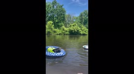 Living his best life: Adorable 15-year-old black lab enjoys being paddled on Pennsylvania lake