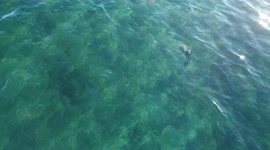 Mysterious Minotaur Sculpture found in a lake in Patagonia Argentina mentioned in several international media.