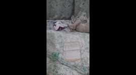 A catt lovely moment