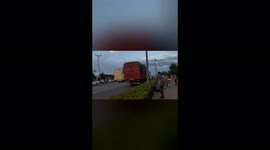 Officials stop truck transporting dozens of pooches to dog meat festival in China