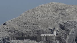 Avian flu strikes the world's largest gannet colony on Bass Rock