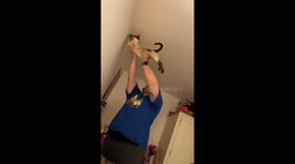 Feline fly trap: Homeowner uses pet cat to catch elusive mosquito