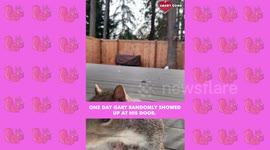 Gary the Gray Squirrel  An Epic Story of Friendship  Forgiveness