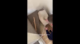 Couple with no DIY experience transform MUSHROOM-INFESTED home for just £6,000 – adding £50,000 to property value Part 2