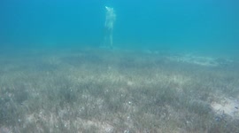 Mysterious Minotaur Sculpture found submerged in a lake in Patagonia Argentina