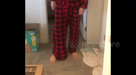 It's Not A TuMor! Ella the BEngal Cat  tries to find any way to get close to her servant