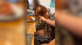 Crafty students manage to take home a week's worth of pizza from Gordon Ramsay restaurant